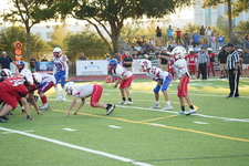 Enlarge photo 334