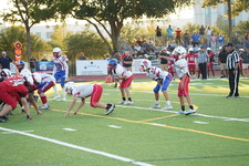 Enlarge photo 335