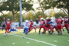 Enlarge photo 338