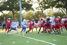 Enlarge photo 337