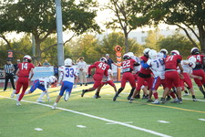 Enlarge photo 339