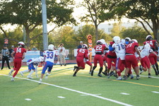 Enlarge photo 340