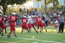 Enlarge photo 345