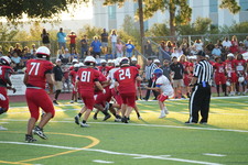 Enlarge photo 347