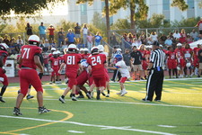 Enlarge photo 349