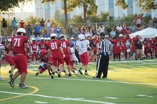 Enlarge photo 351
