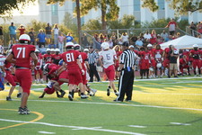 Enlarge photo 352