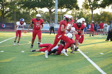 Enlarge photo 378