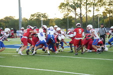 Enlarge photo 52
