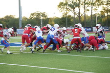 Enlarge photo 55