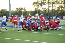 Enlarge photo 59