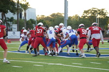 Enlarge photo 70