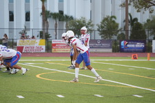 Enlarge photo 95