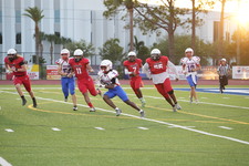 Enlarge photo 115