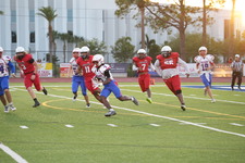 Enlarge photo 113