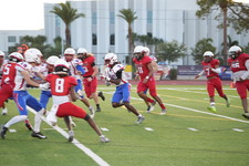 Enlarge photo 117