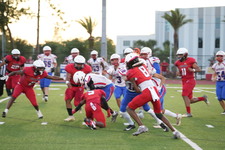 Enlarge photo 121