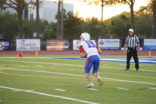 Enlarge photo 138
