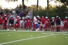 Enlarge photo 147