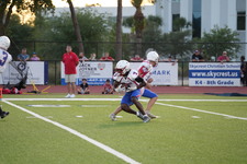 Enlarge photo 164