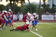 Enlarge photo 169