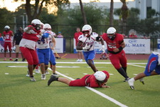 Enlarge photo 170
