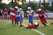 Enlarge photo 173
