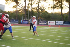 Enlarge photo 186