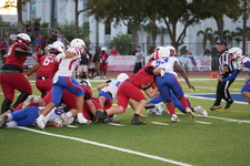 Enlarge photo 223