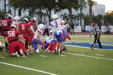 Enlarge photo 228