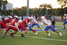Enlarge photo 227