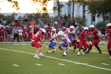 Enlarge photo 232