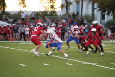 Enlarge photo 234