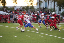 Enlarge photo 235