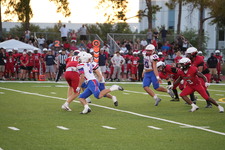 Enlarge photo 236