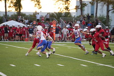 Enlarge photo 237