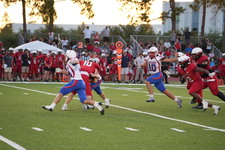 Enlarge photo 238
