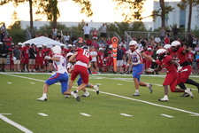 Enlarge photo 239