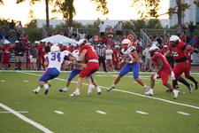 Enlarge photo 241