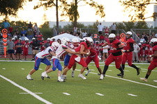 Enlarge photo 244