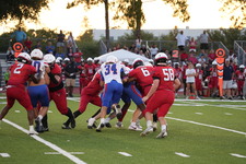 Enlarge photo 254