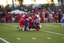 Enlarge photo 257