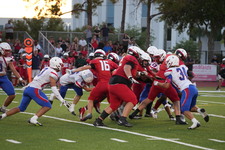 Enlarge photo 259