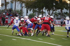 Enlarge photo 262