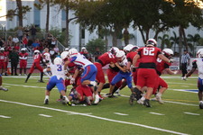 Enlarge photo 263