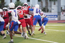 Enlarge photo 310