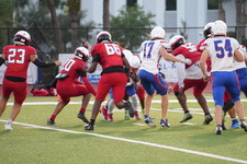 Enlarge photo 313