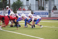 Enlarge photo 338
