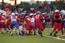 Enlarge photo 428