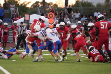 Enlarge photo 432